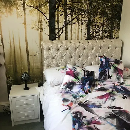 Bed & Breakfast Jasmine House New Quay